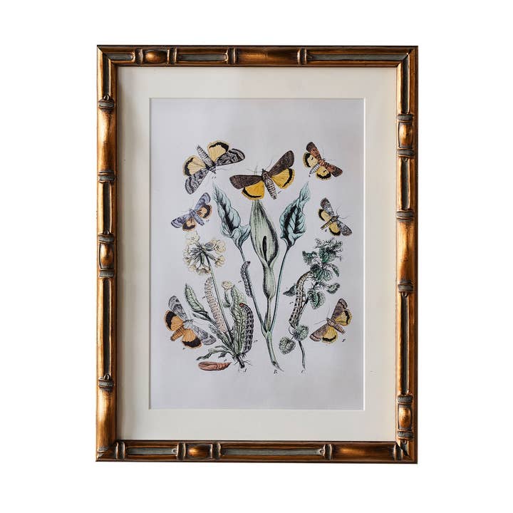 Burnley Matted Frame for wholesale by Blue Ocean Traders