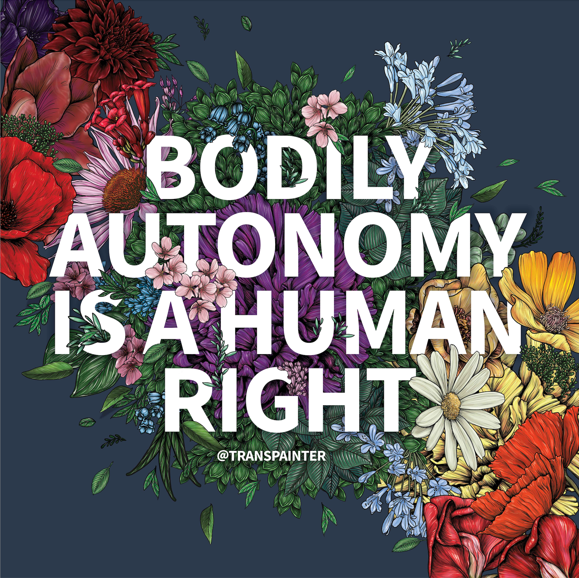 Transpainter - Wholesale Art Print - Bodily Autonomy is a Human Right Poster | Botanical Art3