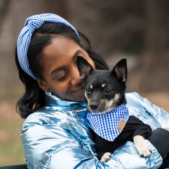 Pawsbury Lane - Wholesale Pet Bandana - Dog - Matching Dog and Owner : Headband and Bandana - Blue Gingham