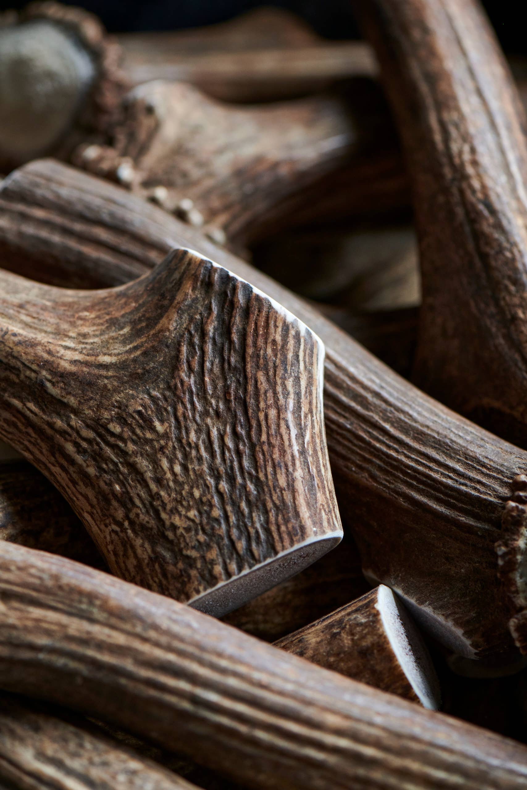 Buck Bone Organics - Wholesale Pet Chew Toy - Dog - Bulk Whole Elk Antler Dog Chews 2 LB Box1