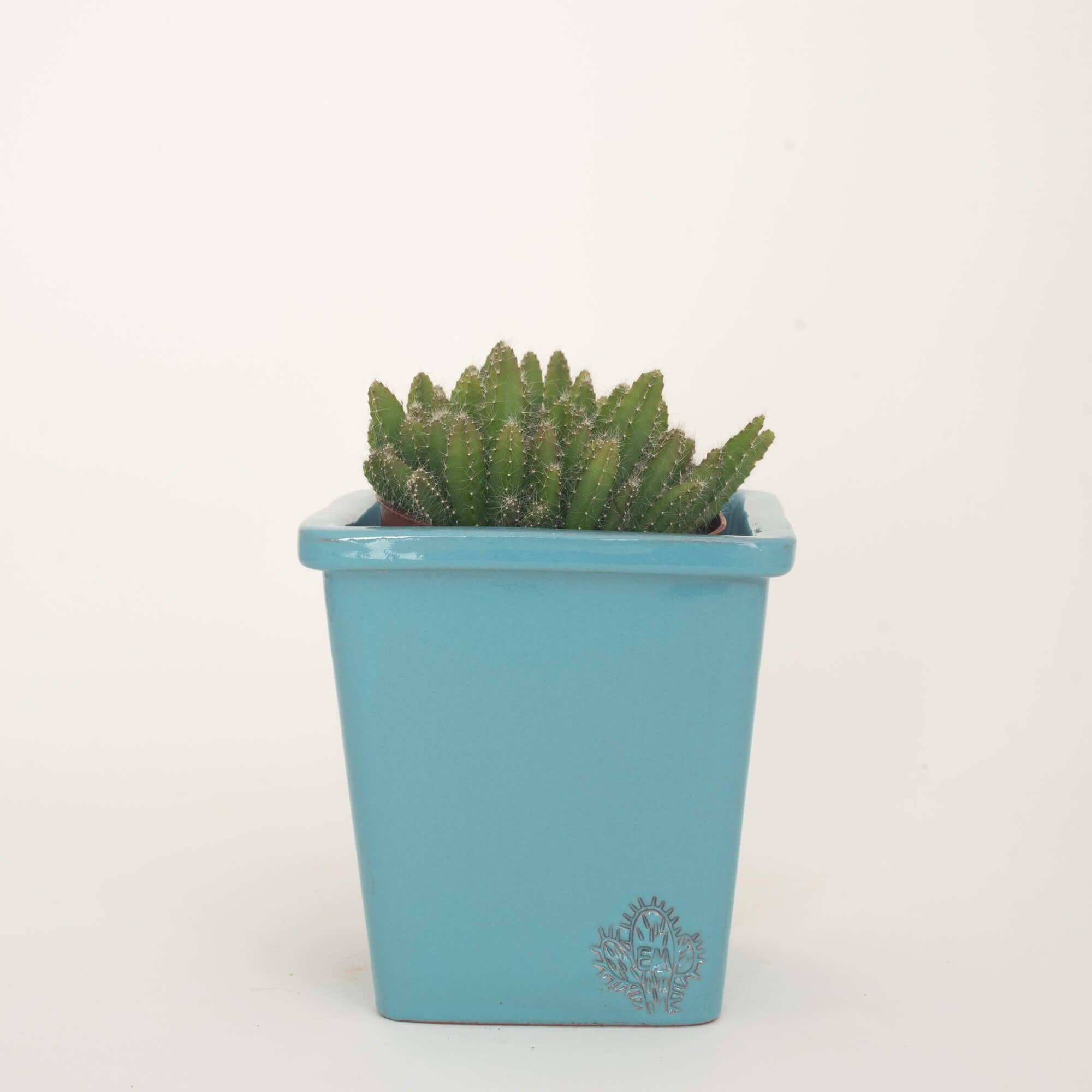 Vasos Quadrados by EM – Engroshandel Plantekrukke – Medium firkantet vase 14x14 cm - blank3