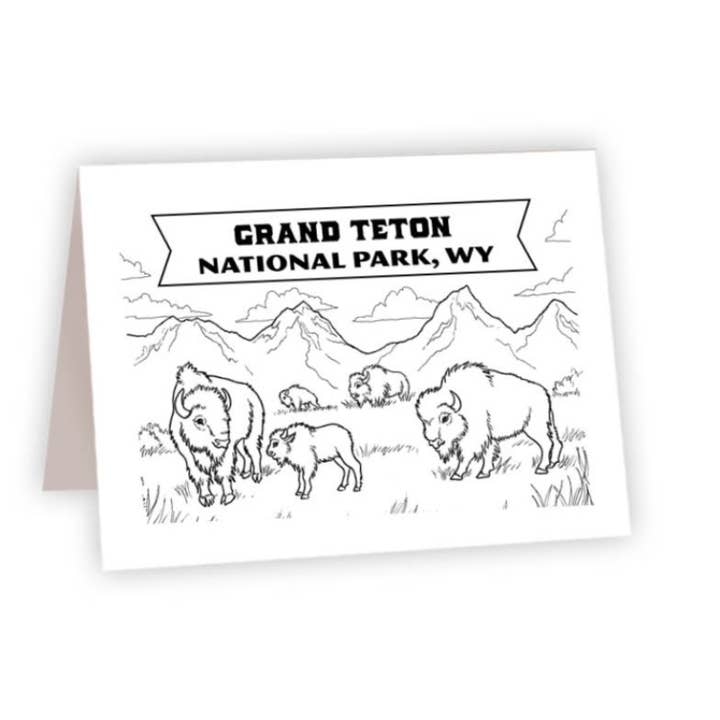 Coloring Cards ND - Grand Teton National Park - Bison for wholesale by Ahava River Cards, Books & Decor