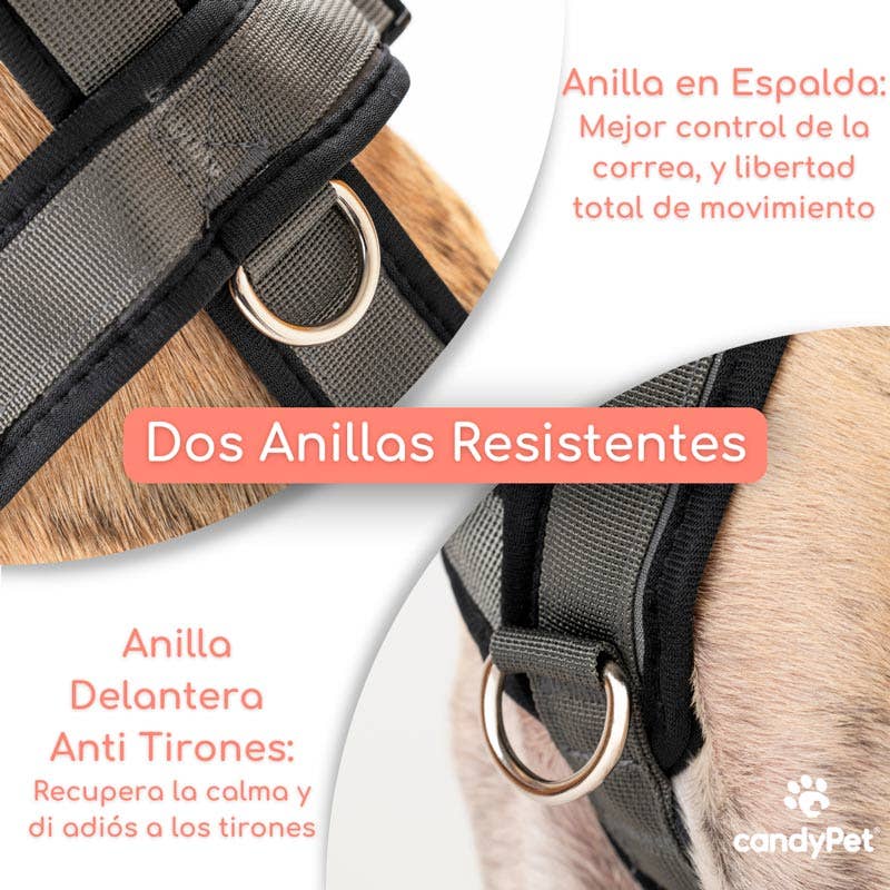 candyPet – Großhandel Haustiergeschirr – Hund – 3-Punkt Anti-Fluchthund-Geschirr6