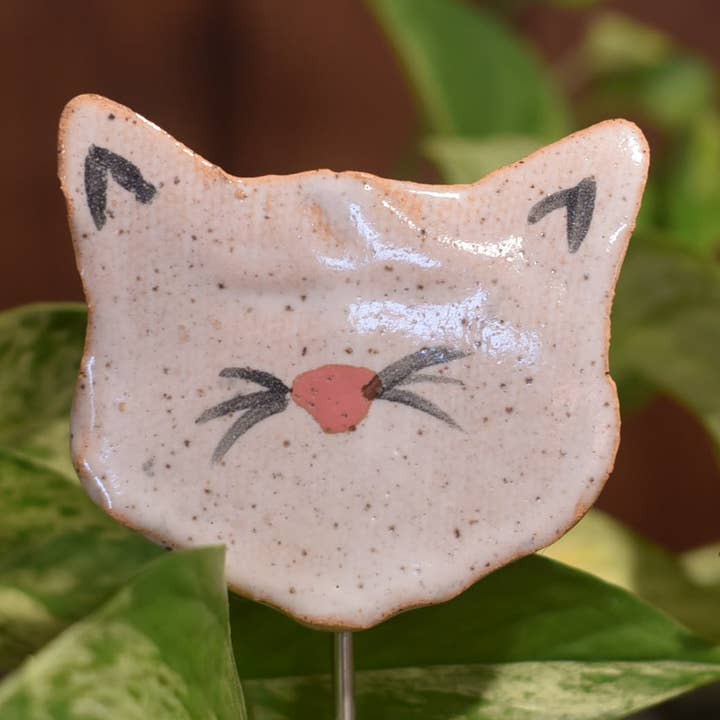 Plant Buddies - Chat/Chaton pour la vente par Mud & Maker