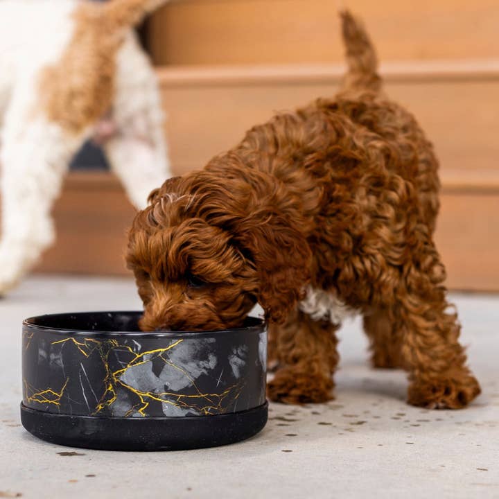 Wasatch Pup - Wholesale Pet bowl – Cat/dog - Limited Edition Ceramic Bowl1