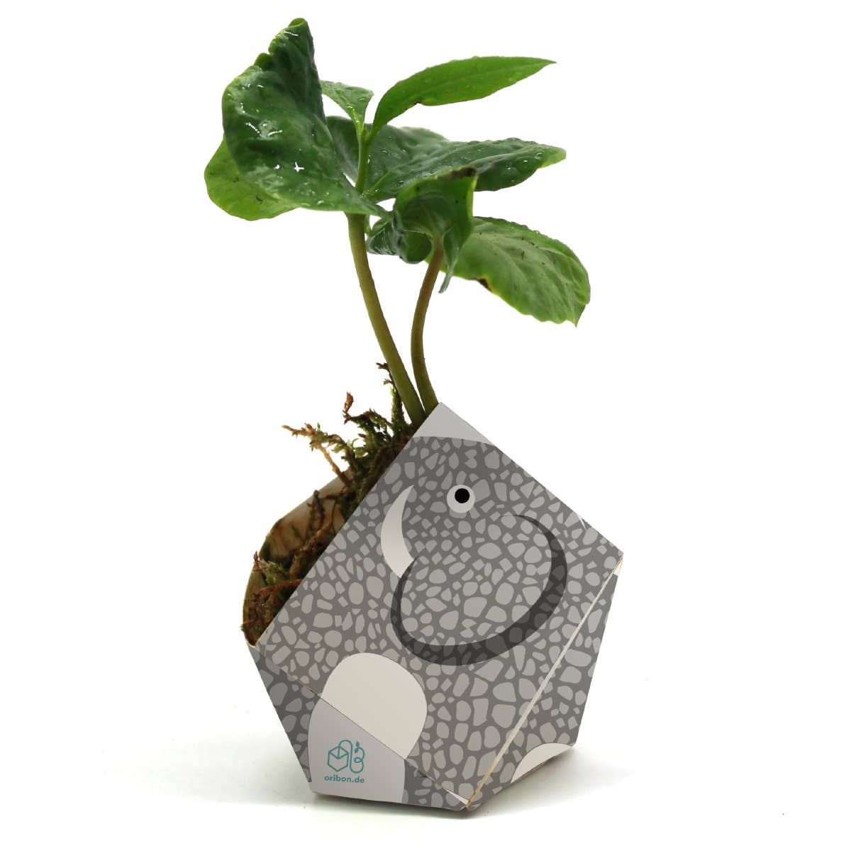 OriBon - Wholesale DIY Craft Kit - 3 OriBon - Rainforest animals collection7