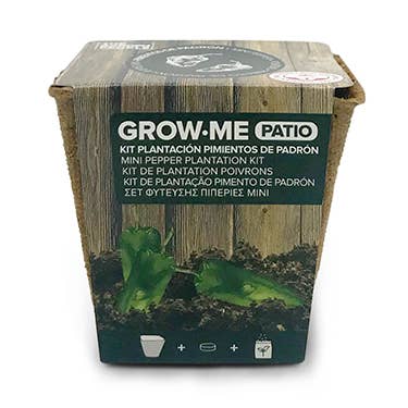 Standard pepper cultivation kit - GROW ME PATIO PIMENTOS for wholesale by JARDIN Y NATURA OUTDOOR & GARDEN PRODUCTS SL