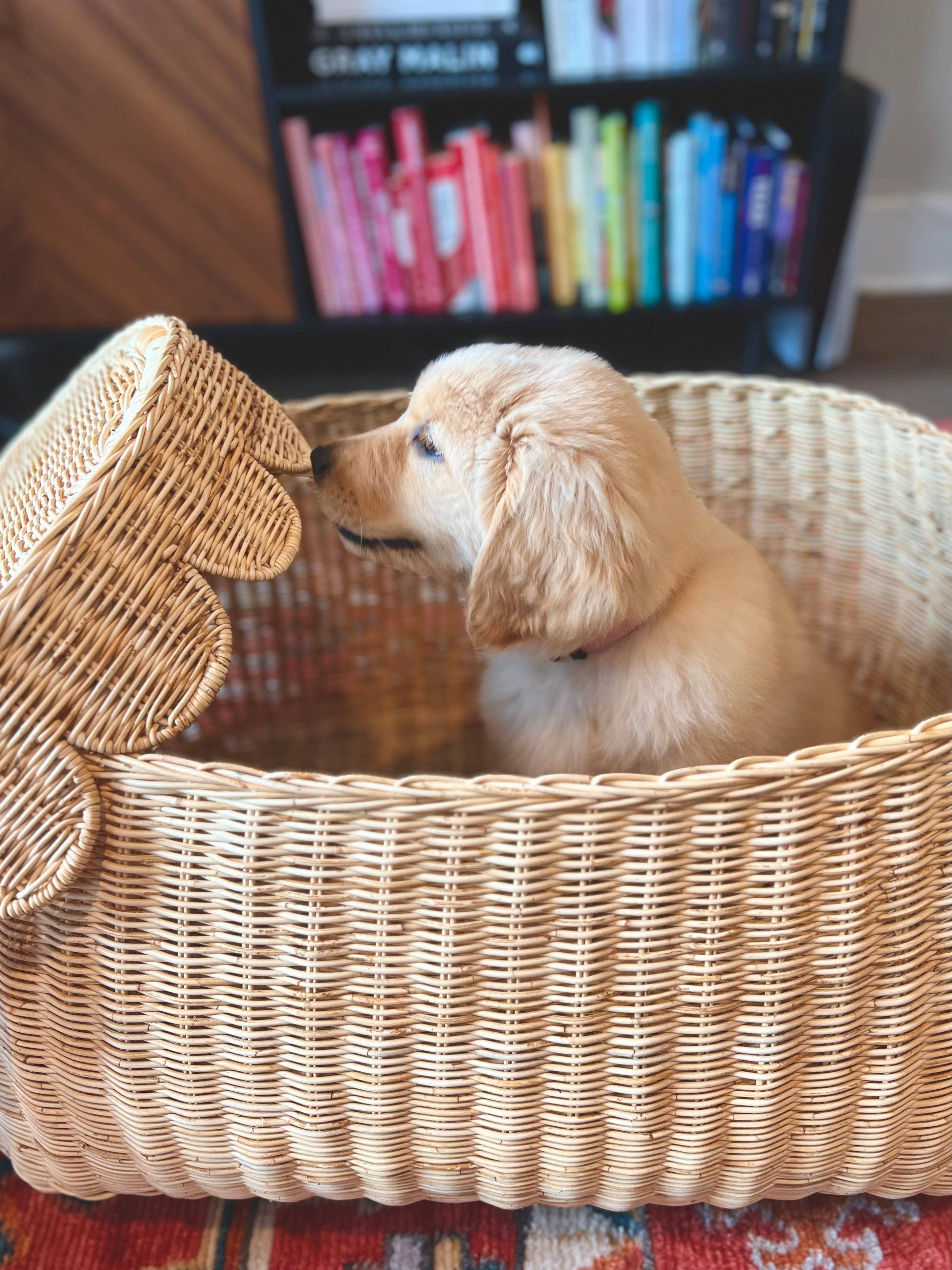 Auden & Avery - Wholesale Basket - Scalloped Rattan Basket - Medium 7