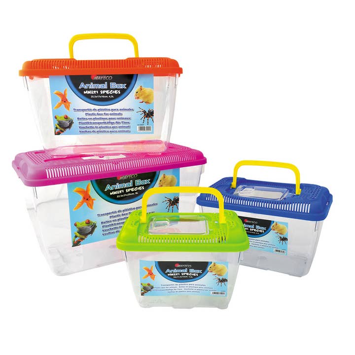 Assortments Animal Box Mini Fish for wholesale on Faire1