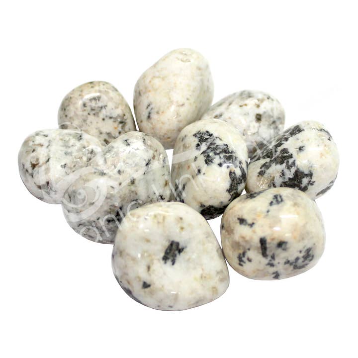 Oceanic Linkways Inc - Wholesale Spiritual Stone/Crystal - TUMBLED STONES - JASPER, DALMATIAN 20-30 MM (KG)