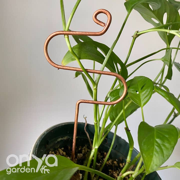 Copper Hairpin Curve Plant Stick for wholesale by On Ya Garden