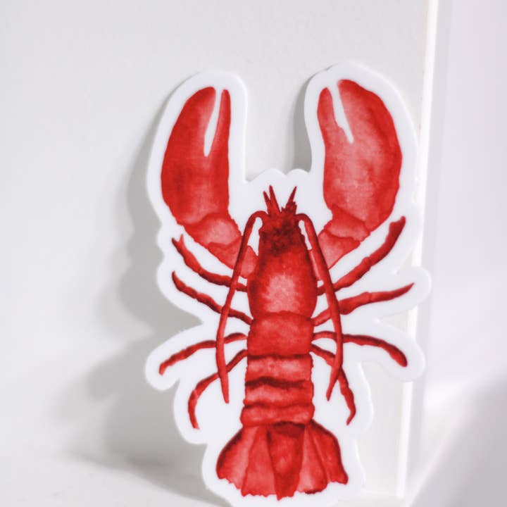 Scribbles and Doodlez - Wholesale Sticker - Red Maine Lobster | Nautical Watercolor Sticker