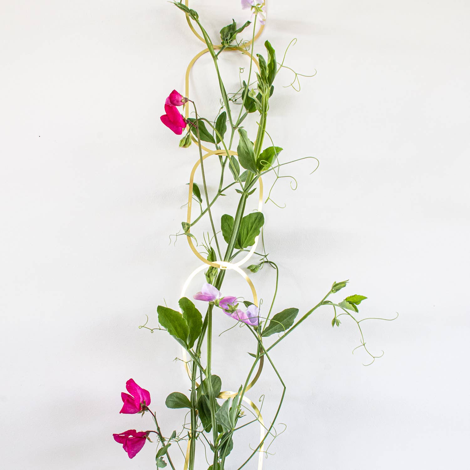 Botanopia - gifts , decor and cards for plant lovers - Wholesale Trellis - Gold Brass Chain - Plant Support for climbing plants7