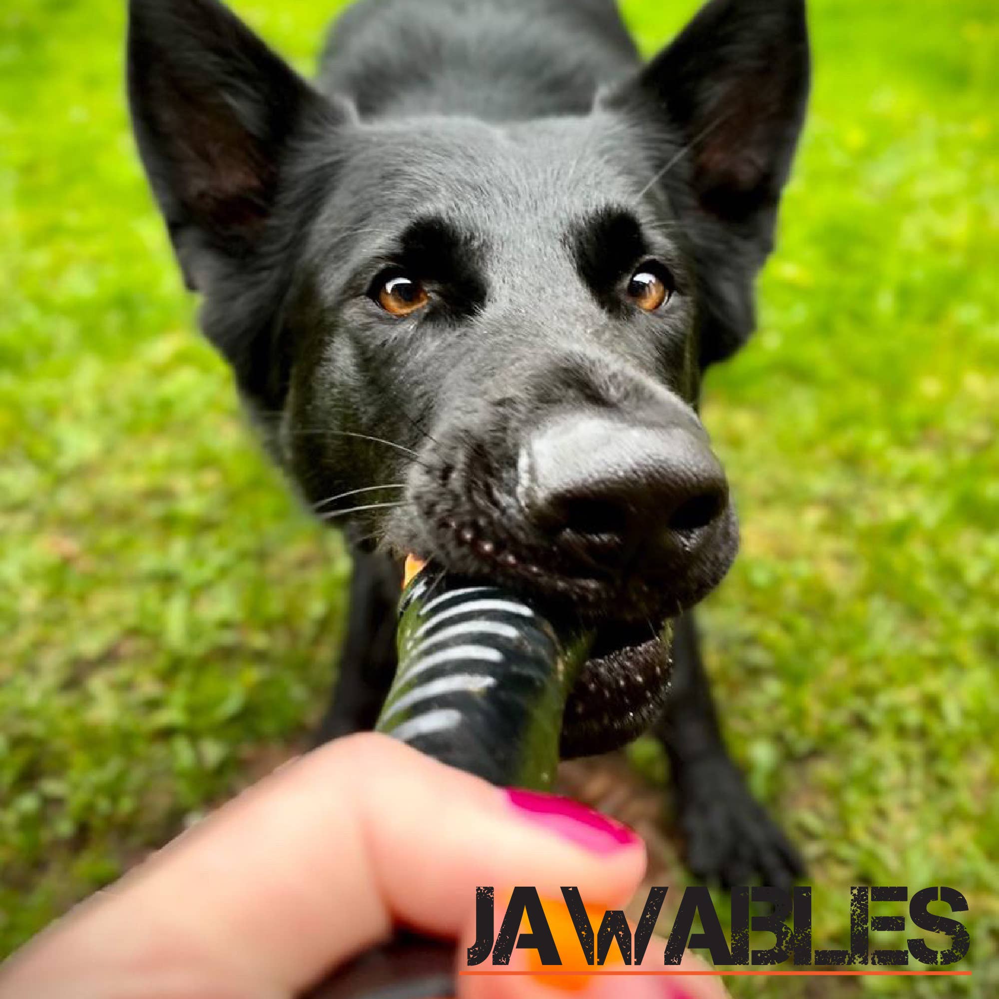 Ancol Pet Products Ltd - Wholesale Pet Chew Toy - Dog - Ancol Extreme Tough Baton Dog Toy1