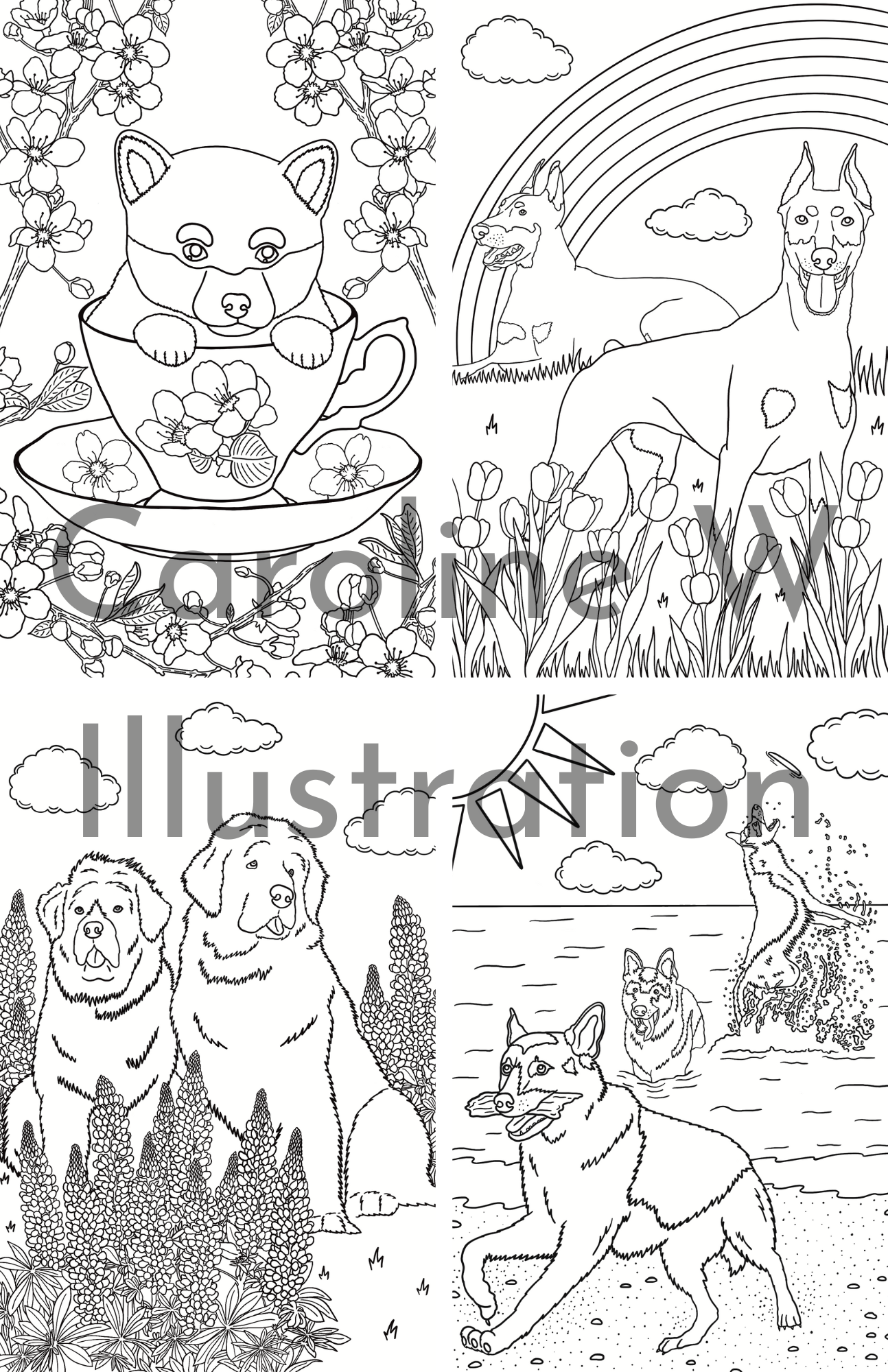 Caroline W Illustration - Wholesale Coloring & Activity Book - Adult - Dog colouring book (5.5 x 8.5 inches, 12 illustrations)2