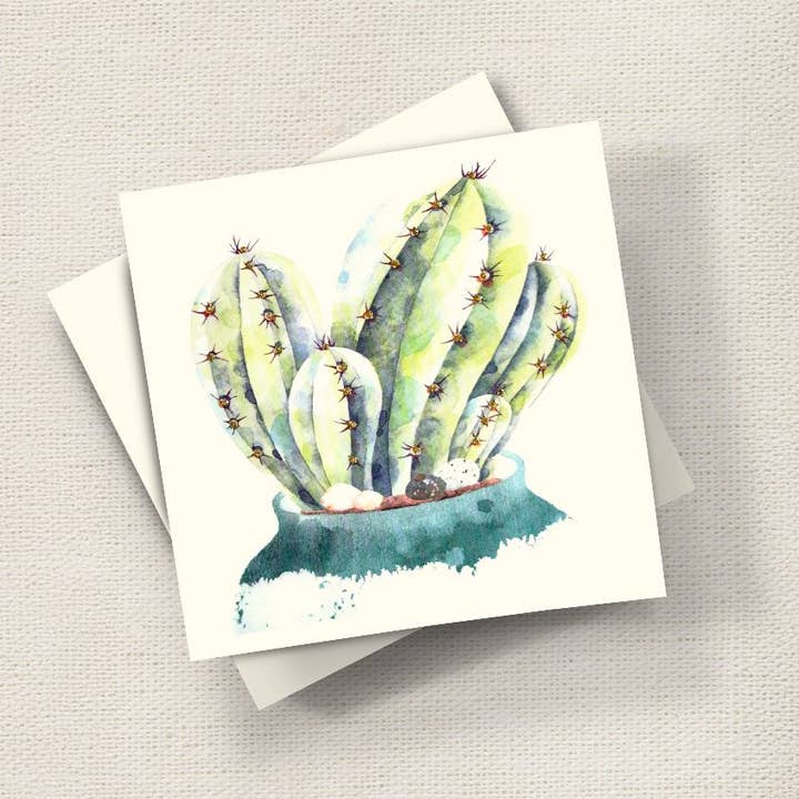 Cactus for wholesale by English Graphics