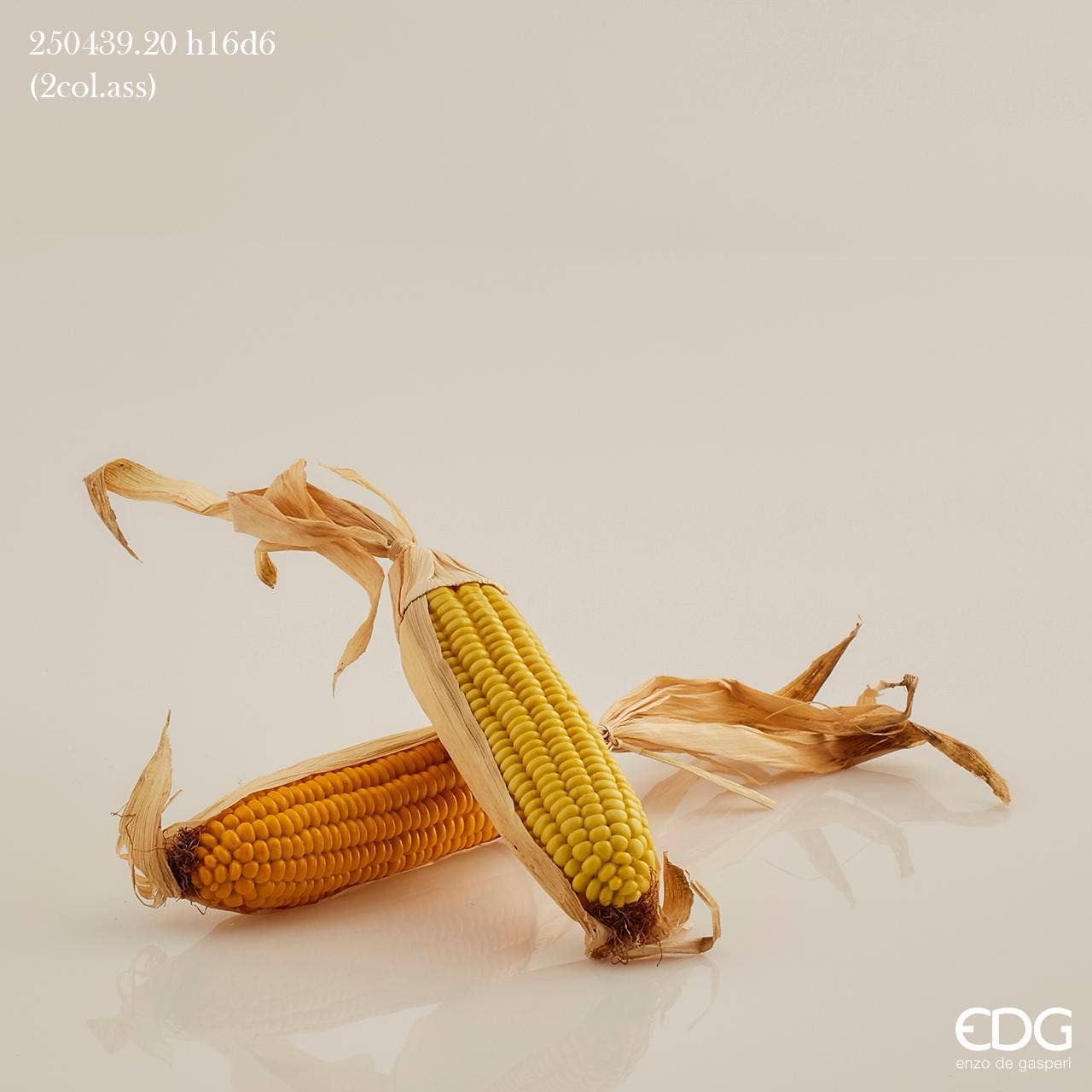 edg - Wholesale Decorative Tabletop Object - CORN (2 COL/ASST)0