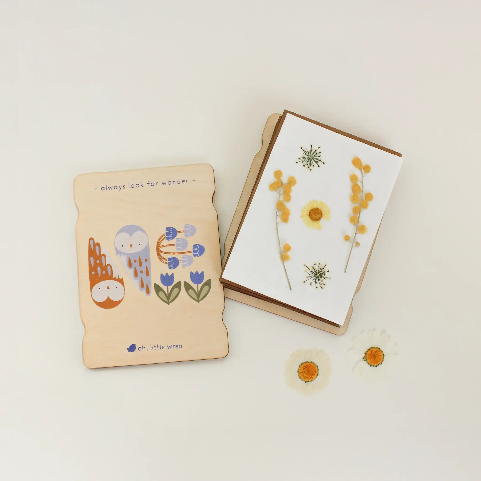 oh, little wren - Wholesale DIY Craft Kit - Kids - Little Nature Press - Mini Wooden Flower Press - Owl Design1