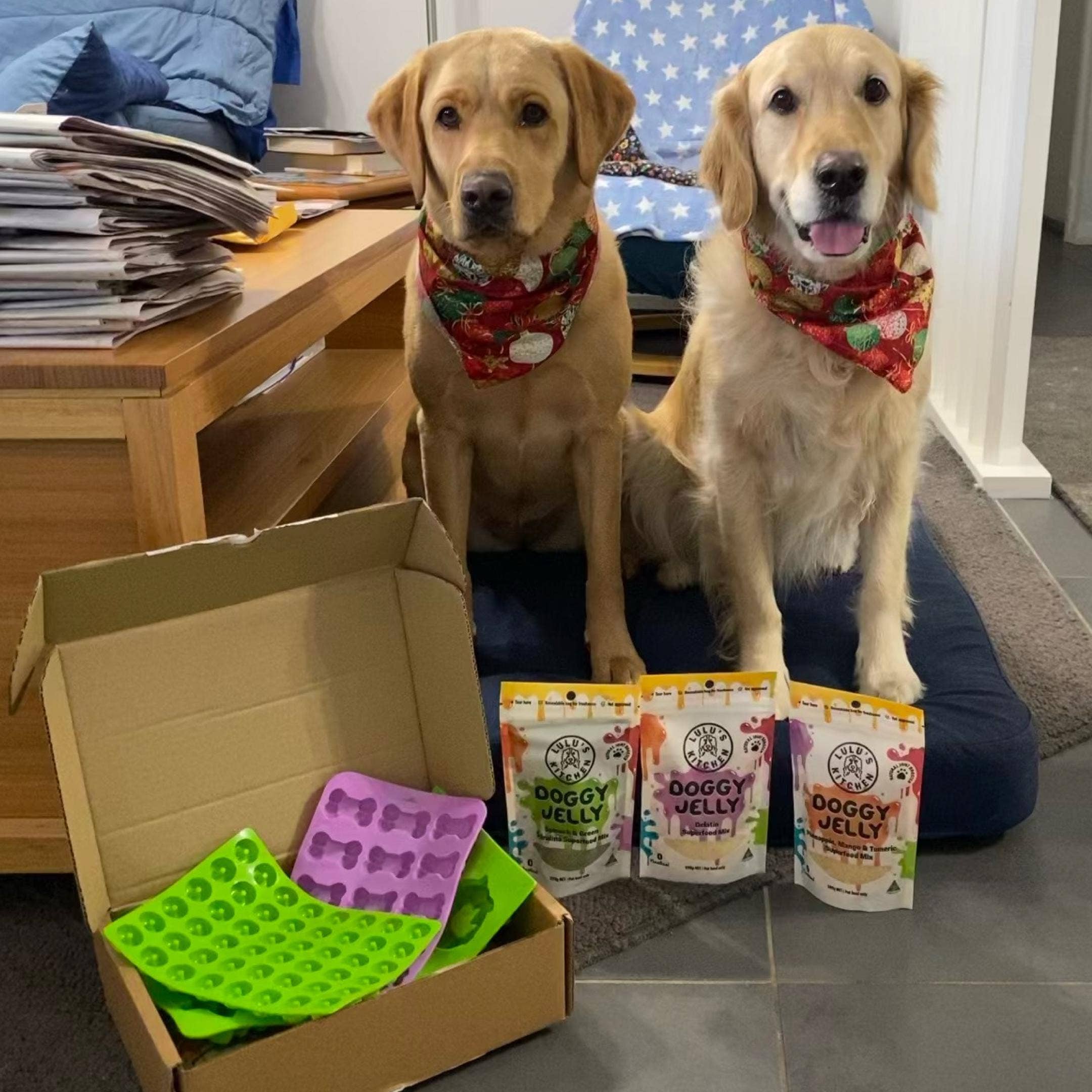 Rover Pet Products - Wholesale Chocolate/Candy Mold - Do-Nut Touch My Treato's - Silicone Mould4