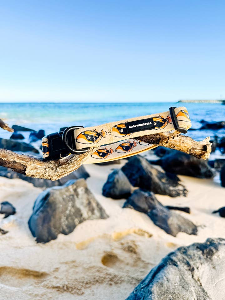 Collare Humu per la vendita all'ingrosso da parte di COOPMONSTERS