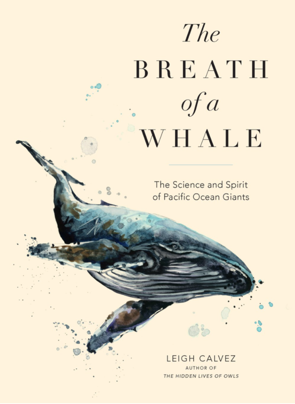 Microcosm Publishing & Distribution - Wholesale Science & Math Book - Breath of a Whale: The Science and Spirit of Pacific Ocean0