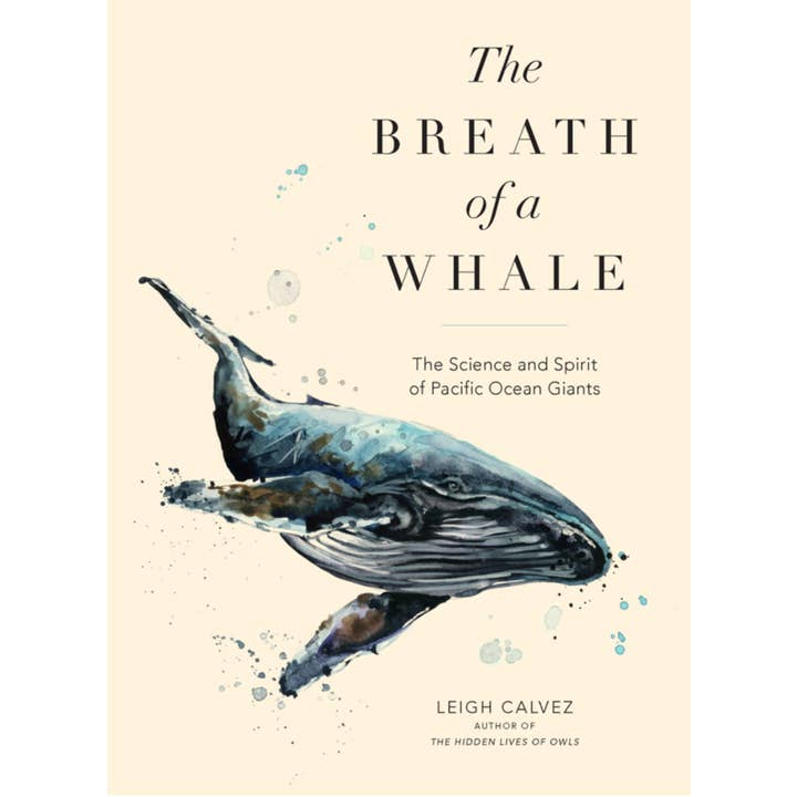 Microcosm Publishing & Distribution - Wholesale Science & Math - Breath of a Whale: The Science and Spirit of Pacific Ocean