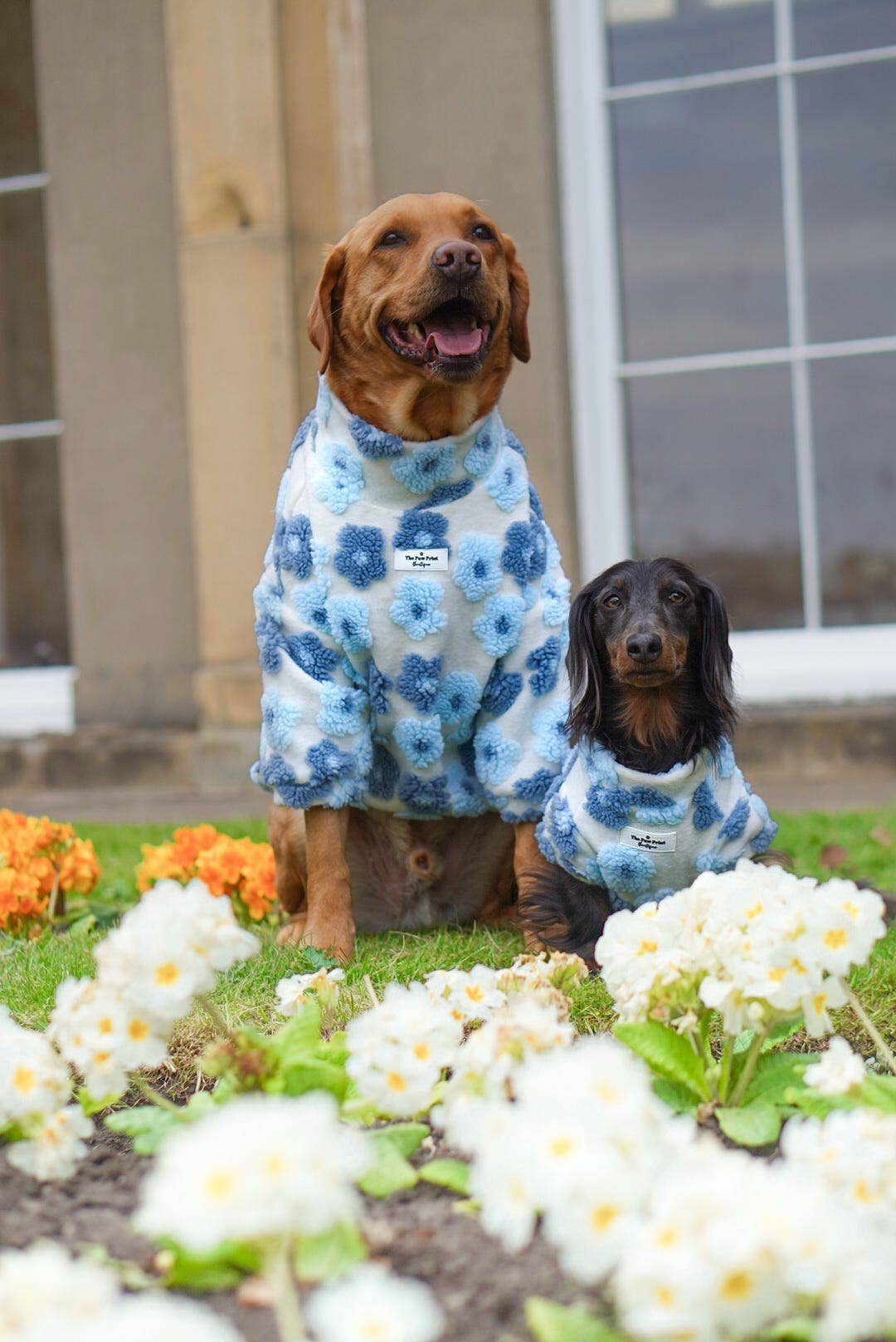 The Paw Print Boutique - Wholesale Pet jumper – Dog - The Bluebell Blue Floral Fleece8