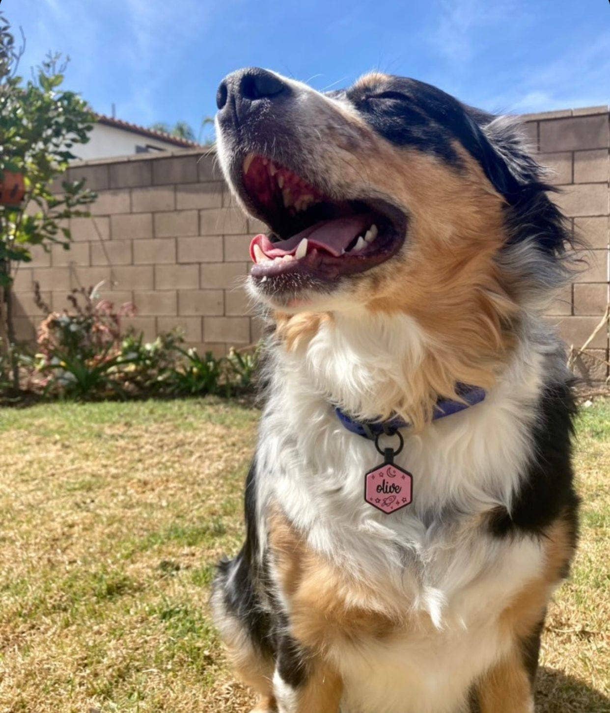 Besties Pets - Wholesale Pet Identification Tag - Dog - Space Cadet Silicone Dog ID Tag15