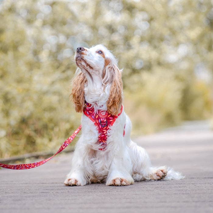 WYLD CUB - Wholesale Pet Harness - Dog - Adjustable Dog Harness: Hampstead Fireside19