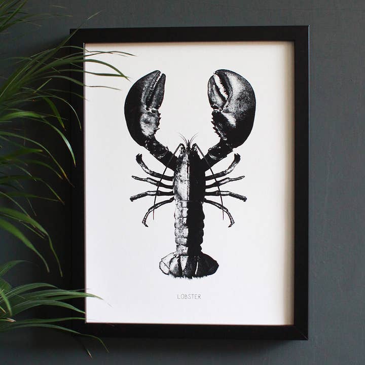 Rock Lobster Engravings Print for wholesale by Cloud Cuckoo Design