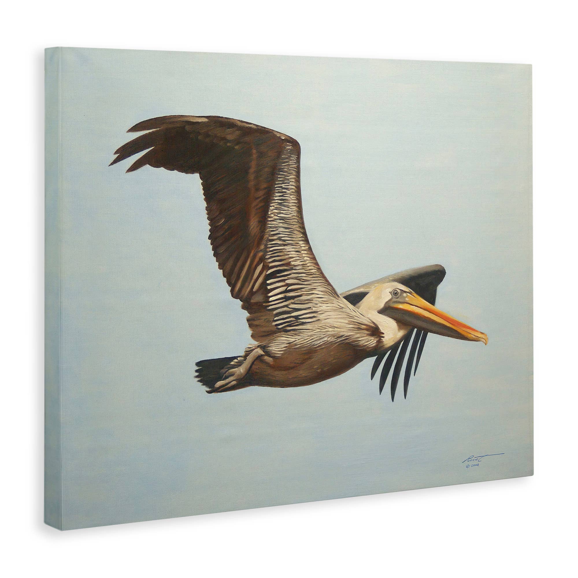 Stupell Industries - Wholesale Wall Sign - Brown Pelican in Flight - Unframed Wall Art10
