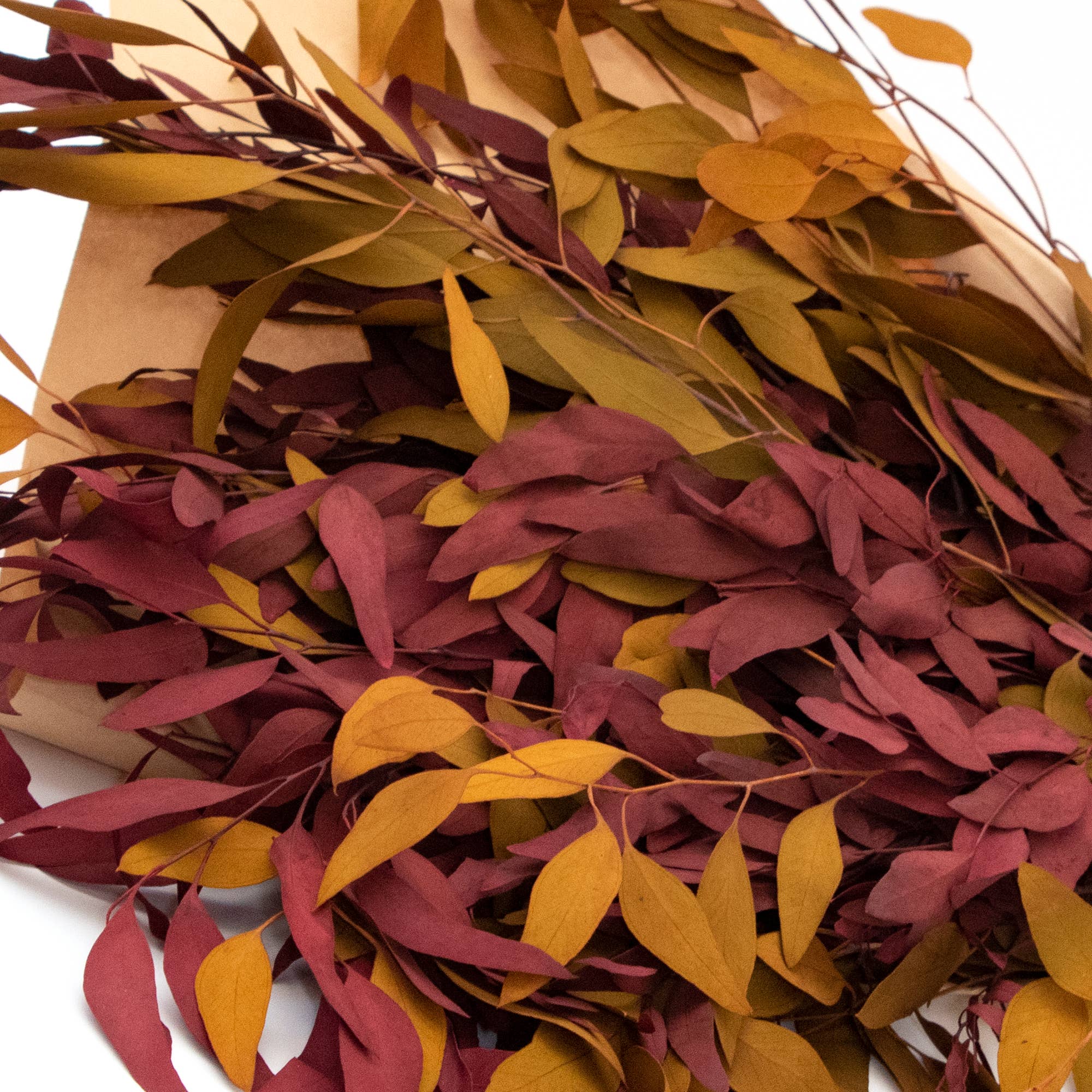 Andaluca - Wholesale Dried/Pressed Flowers - Farmhouse Willow Bundles2