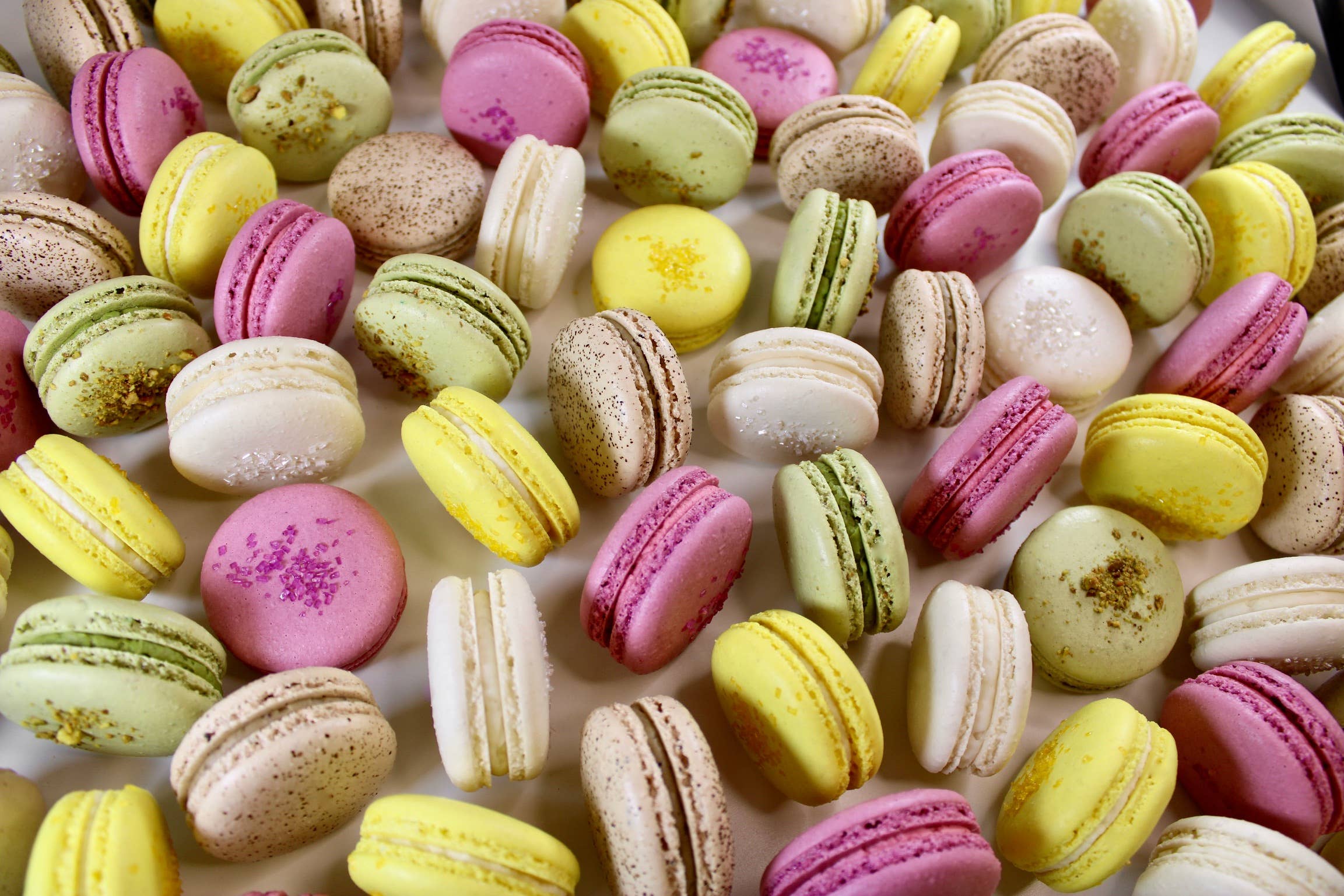 Savor Patisserie - Wholesale Cookie - The Classics Collection - Bulk French Macarons1