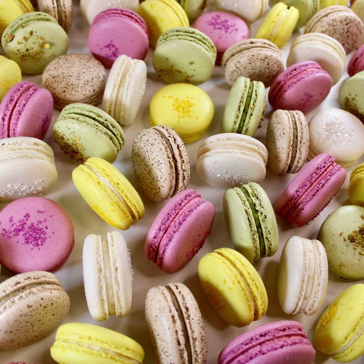 Savor Patisserie - Wholesale Cookie - The Classics Collection - (300) Bulk French Macarons1