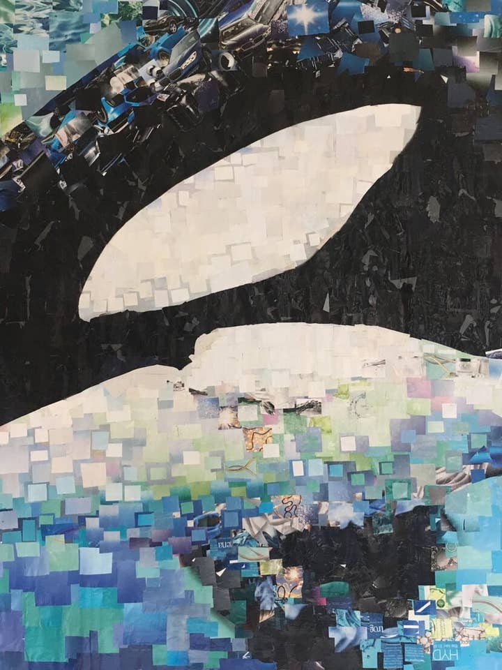 Orca Collage 3 for engroshandel hos Whitney L. Anderson