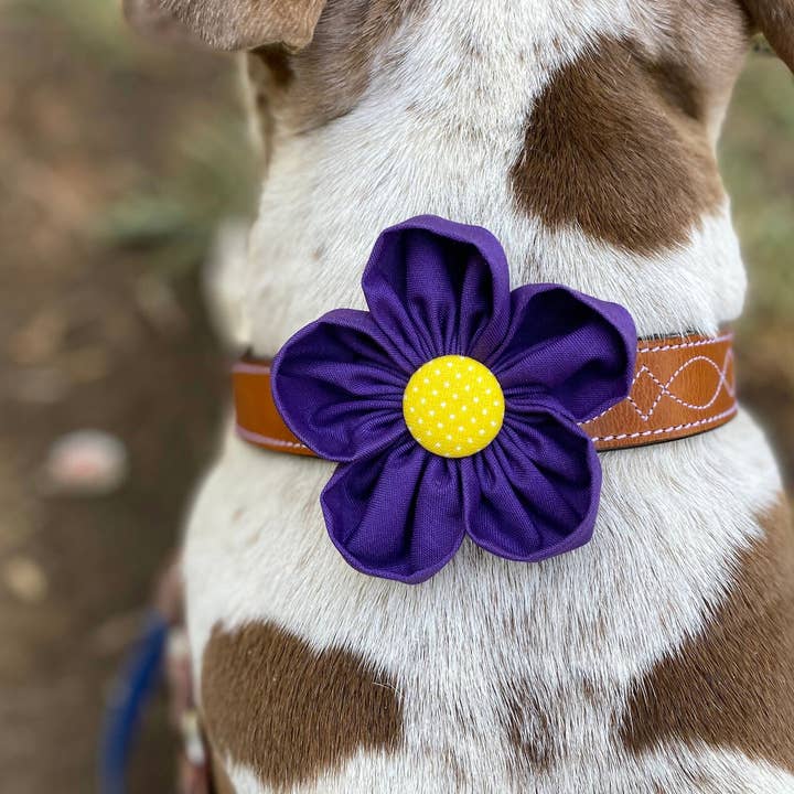 Dark Purple Collar Flower Pet Accessory for wholesale by Darcy's Canine Designs