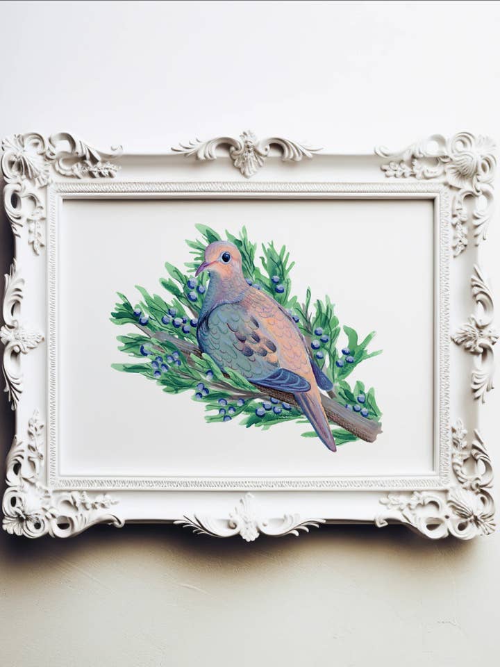 Mourning Dove in Juniper Tree Print - unframed art print for wholesale by Foot Range Mountain