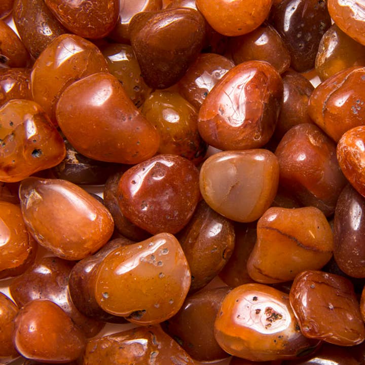 Fantasia Mining - Wholesale Spiritual Stone/Crystal - Tumbled Carnelian - L - EX Grade - Brazil (1 lb)3