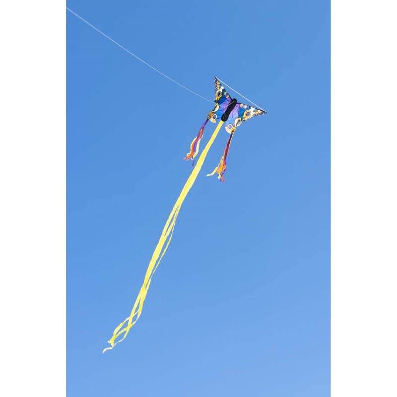 HQ Kites & Designs - Vendita all'ingrosso Aquilone - Aquilone farfalla Buckeye «R»3