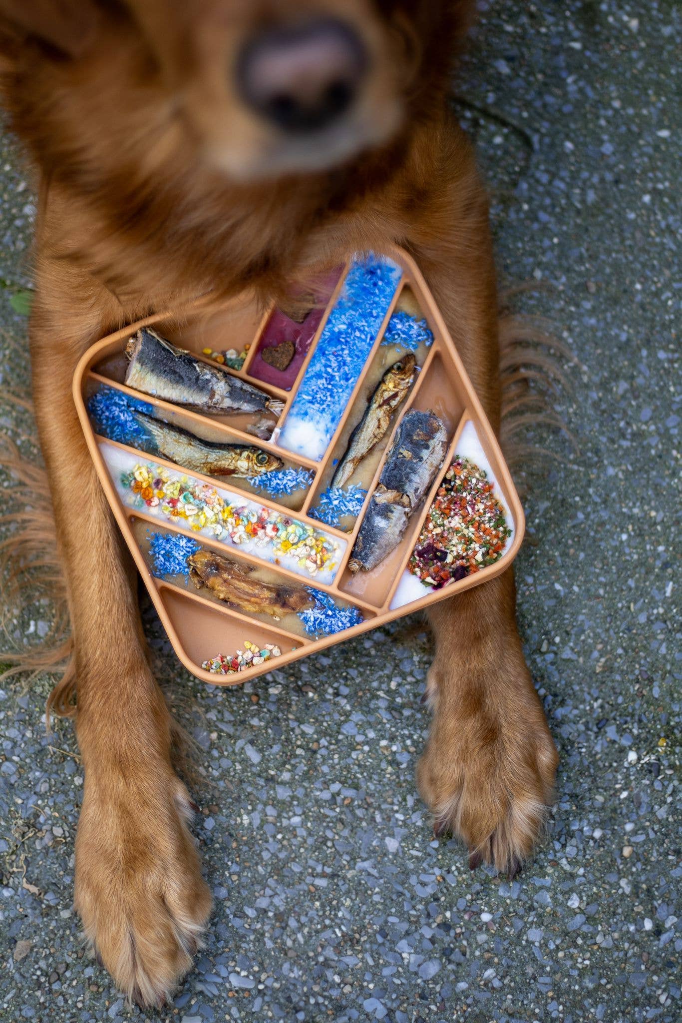 Cooka's Cookies – Großhandel Tiernahrung – Hund – Mermaid Dust - Futterzusatz für Katzen und Hunde4