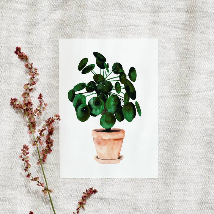 Postcard - Pilea for wholesale by Leo La Douce GmbH