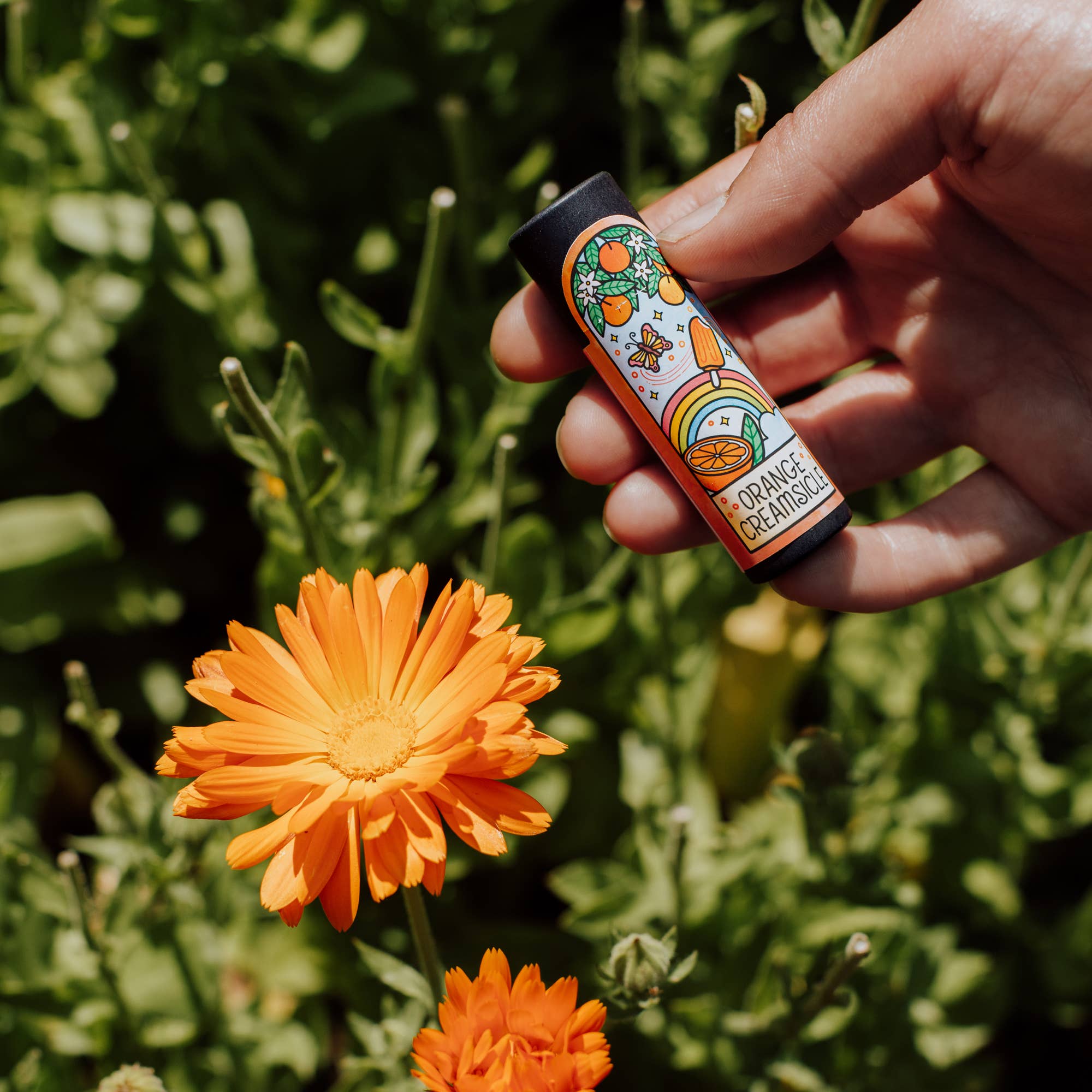 Rachel Beyer - Wholesale Lip Balm - Orange Creamsicle - Herb-Infused Lip Balm2