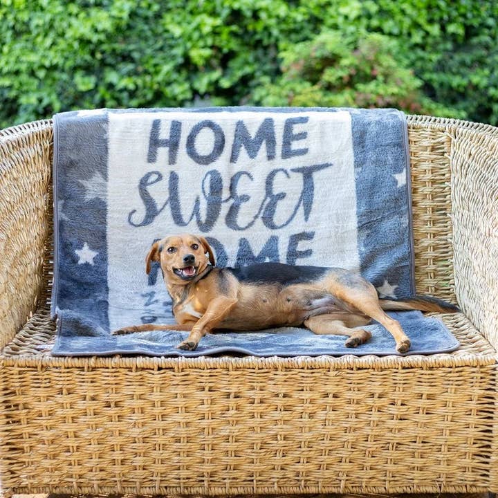 Finesse Pet Blanket A Dogs Life Steel/Silver for wholesale by Maisie Grace Designs