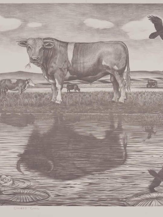 Sacred Bull - Schwarz-Weiß für den Großhandel von Frame of Mind