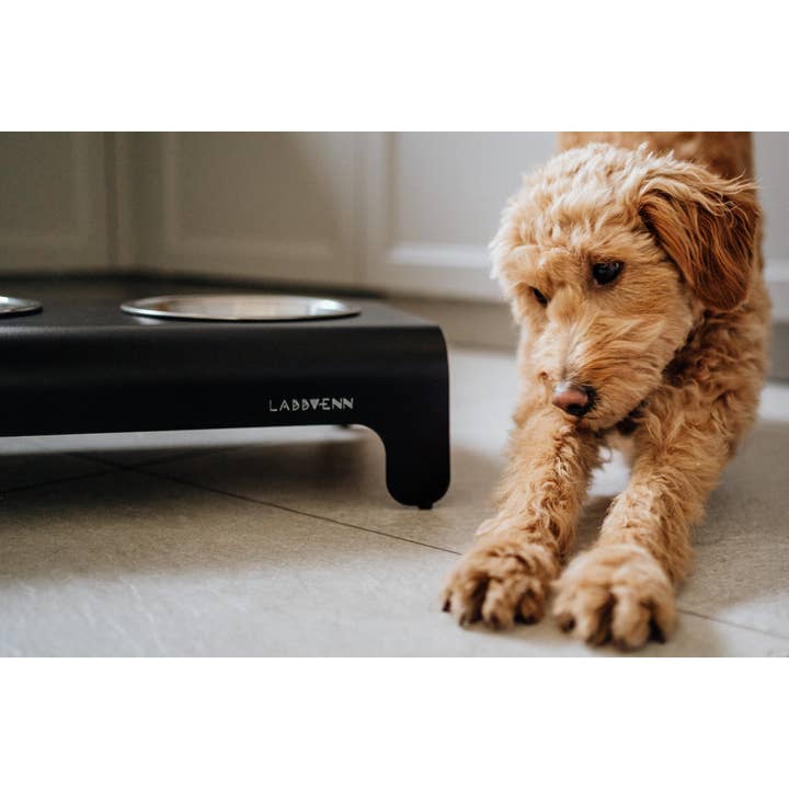 Labbvenn - Wholesale Pet Bowl - Cat/Dog - Rico Ffeder42
