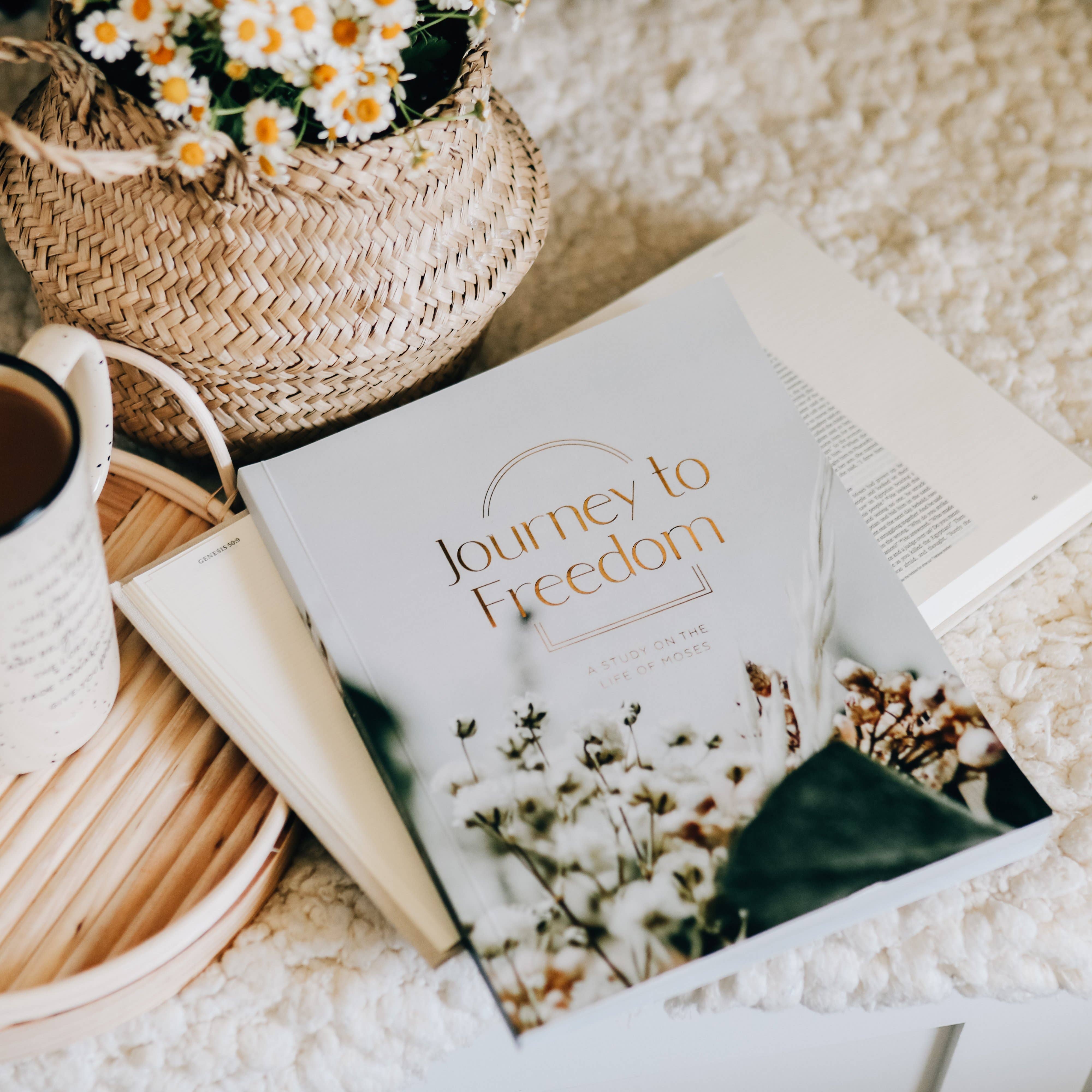 The Daily Grace Co - Wholesale Religion - Journey to Freedom | The Life of Moses10