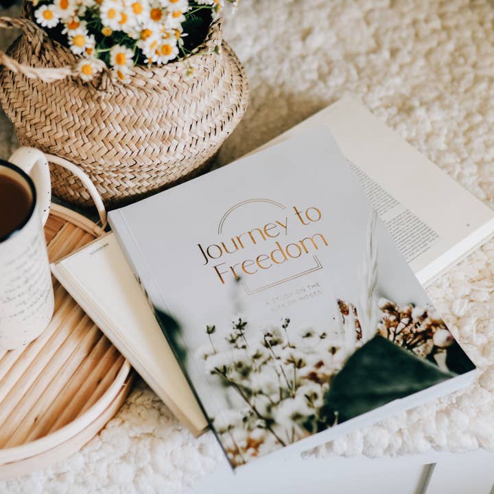 The Daily Grace Co - Wholesale Religion - Journey to Freedom | The Life of Moses10