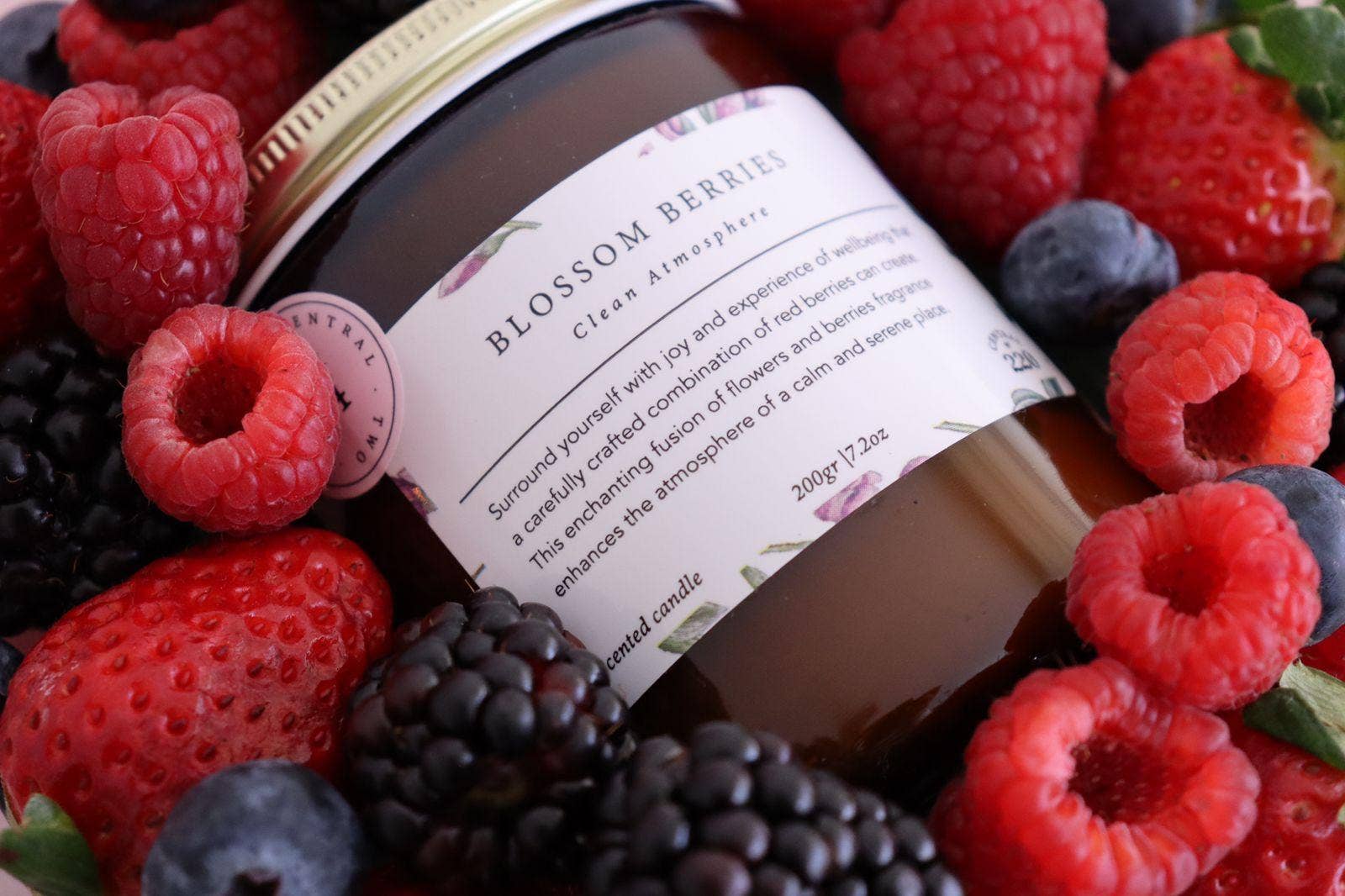 Central 220 - Wholesale Jar/Filled Candle - 04 | Joy | Blossom Berries  | Scented Candle5