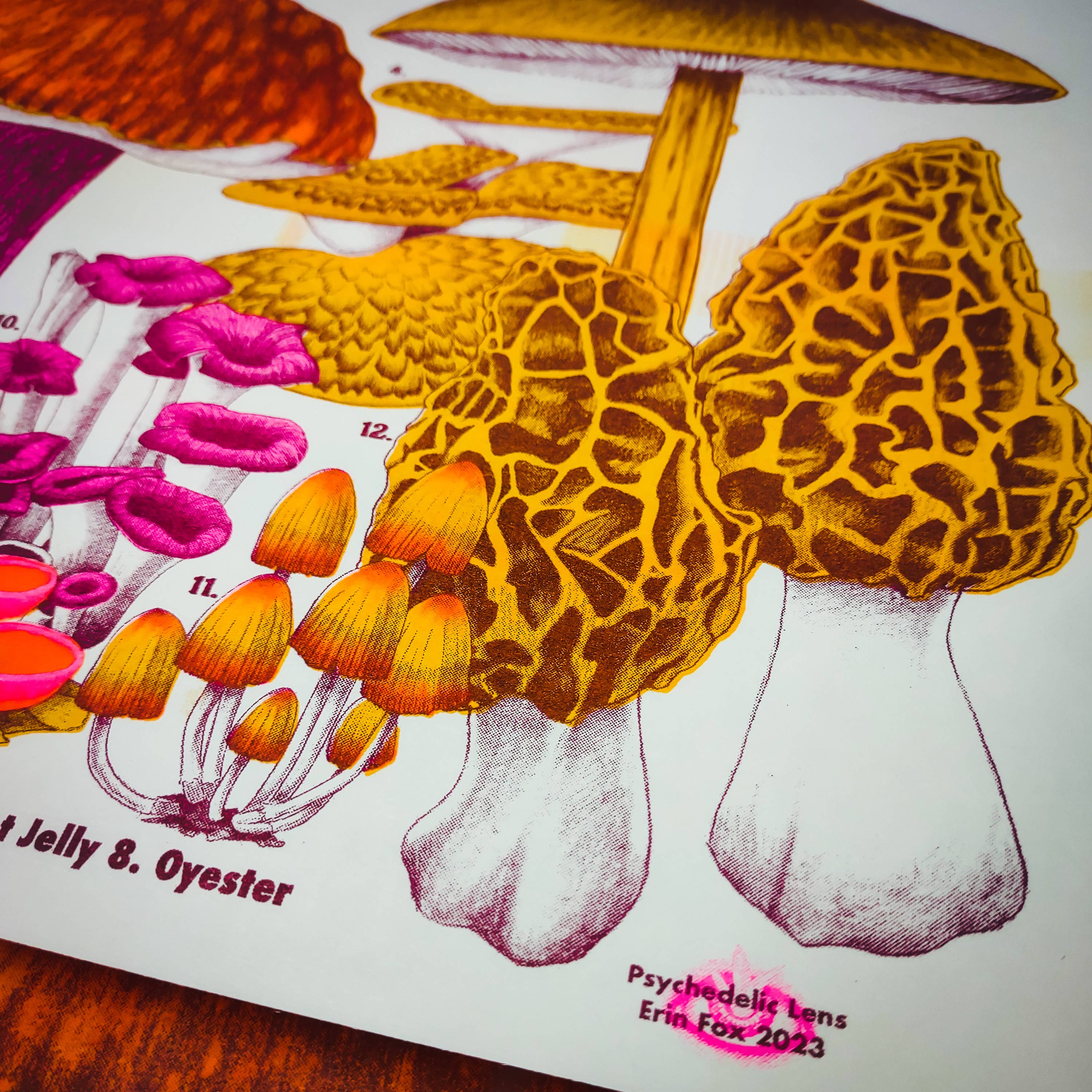 Psychedelic Lens - Wholesale Art Print - Mushrooms of the NE3