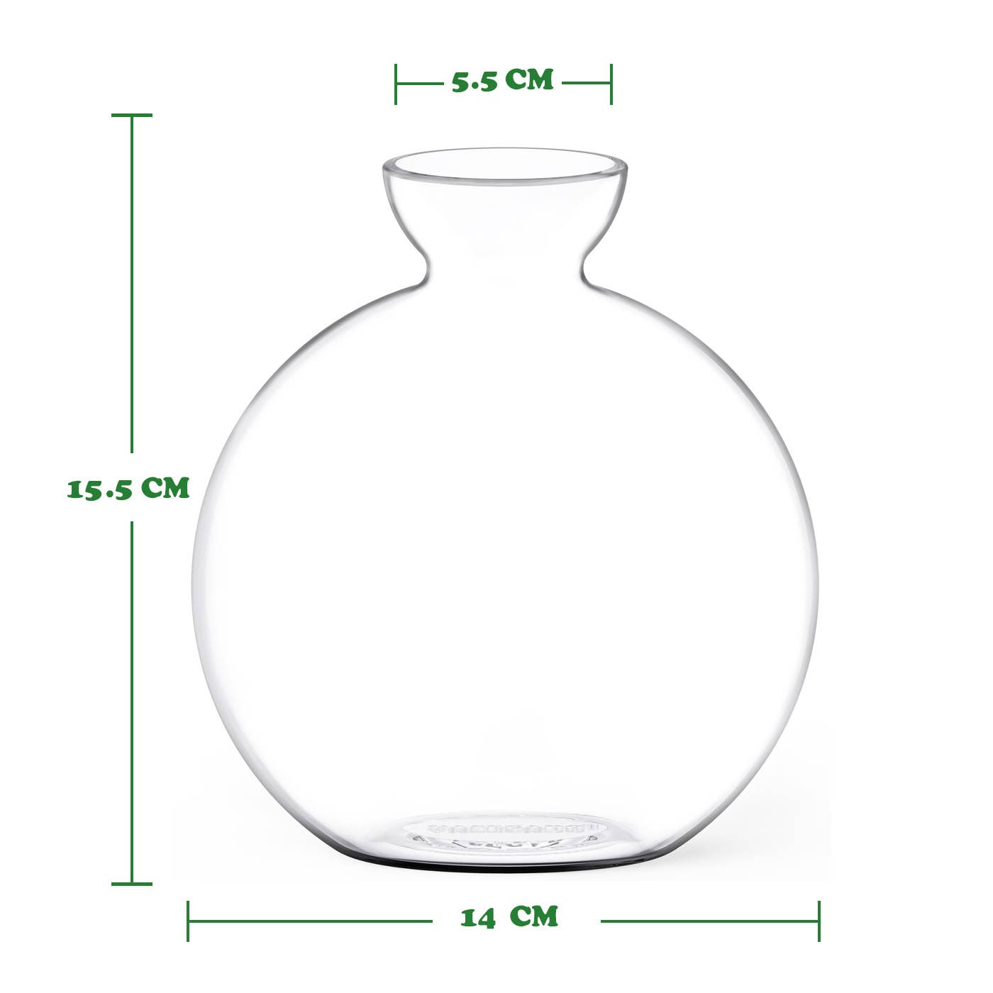 Cloudberries Jigsaw Puzzles - Vendita all'ingrosso Vasi - Vasecado® Vaso in Vetro Soffiato per Coltivare una Pianta di Avocado5